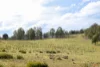 "Tada-Ima" Lots 61 & 81 Stuart Road, Corrowong, NSW 2633-Image