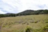 "Tada-Ima" Lots 61 & 81 Stuart Road, Corrowong, NSW 2633-Image