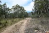 "Tada-Ima" Lots 61 & 81 Stuart Road, Corrowong, NSW 2633-Image