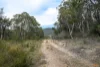 "Tada-Ima" Lots 61 & 81 Stuart Road, Corrowong, NSW 2633-Image