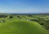 'The Hill Block' 130, Rose Valley NSW 2534-Image