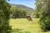 "The Ironfarm" 3835 Capricorn Highway, Westwood, Qld 4702-Image