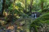 'The Ridge Farm' Free Selectors Road, Foxground NSW 2534-Image