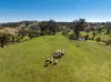 'Wahroonga' 2235 The Escort Way,, Orange NSW 2800-Image