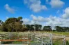Warrnambool-Caramut Road, Winslow, Vic 3281-Image