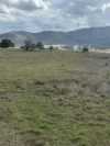 0 Kennedys Road, Winya, Qld 4515-Image