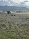 0 Kennedys Road, Winya, Qld 4515-Image