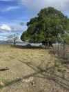 0 Kennedys Road, Winya, Qld 4515-Image