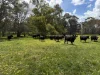 0 Mooree Road, Chetwynd, Vic 3312