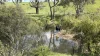 0 Mooree Road, Chetwynd, Vic 3312-Image