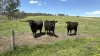 0 Mooree Road, Chetwynd, Vic 3312-Image