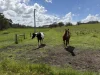 0 Mooree Road, Chetwynd, Vic 3312-Image