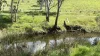 0 Mooree Road, Chetwynd, Vic 3312-Image