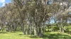 0 Mooree Road, Chetwynd, Vic 3312-Image