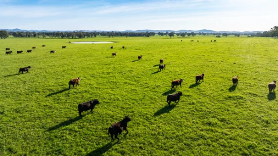 1, Simpsons Lane, Moyhu, Vic 3732