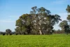 1, Simpsons Lane, Moyhu, Vic 3732-Image