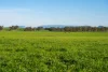 1, Simpsons Lane, Moyhu, Vic 3732-Image