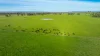 1, Simpsons Lane, Moyhu, Vic 3732-Image