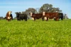 1, Simpsons Lane, Moyhu, Vic 3732-Image