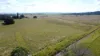 100 Backmede Road, Backmede, NSW 2470-Image