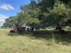 100 Backmede Road, Backmede, NSW 2470-Image