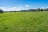 1007 & 1007A Kiewa Valley Highway, Staghorn Flat, Vic 3691-Image