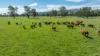 1007 & 1007A Kiewa Valley Highway, Staghorn Flat, Vic 3691-Image