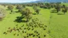 1007 & 1007A Kiewa Valley Highway, Staghorn Flat, Vic 3691-Image