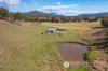 10667 Mount Lindesay Highway, Palen Creek, Qld 4287-Image