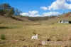 10667 Mount Lindesay Highway, Palen Creek, Qld 4287-Image
