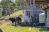 10667 Mount Lindesay Highway, Palen Creek, Qld 4287-Image
