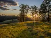 113-124 Boormans Rd, Tyalgum, NSW 2484