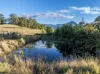 113-124 Boormans Rd, Tyalgum, NSW 2484-Image