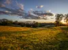 113-124 Boormans Rd, Tyalgum, NSW 2484-Image