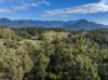 113-124 Boormans Rd, Tyalgum, NSW 2484-Image