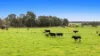 1131 Reservoir Road, Munro, Vic 3862-Image