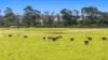 1131 Reservoir Road, Munro, Vic 3862-Image