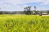 1131 Reservoir Road, Munro, Vic 3862-Image