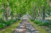 114, Hartys Plains NSW 2446-Image