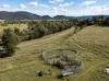 1150 Martindale Road, Denman, NSW 2328-Image