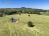 119 Giinagay Way, Warrell Creek, NSW 2447-Image