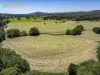 119 Giinagay Way, Warrell Creek, NSW 2447-Image