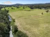 119 Giinagay Way, Warrell Creek, NSW 2447-Image