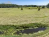 119 Giinagay Way, Warrell Creek, NSW 2447-Image