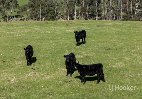 122 Blights Reserve Road, Wistow, SA 5251
