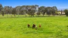 126 Waites Road, Glengarry West, Vic 3854-Image