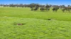 126 Waites Road, Glengarry West, Vic 3854-Image
