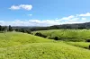12744 Kennedy Highway, Ravenshoe, Qld 4888-Image