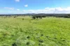 12744 Kennedy Highway, Ravenshoe, Qld 4888-Image