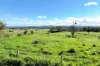 12744 Kennedy Highway, Ravenshoe, Qld 4888-Image